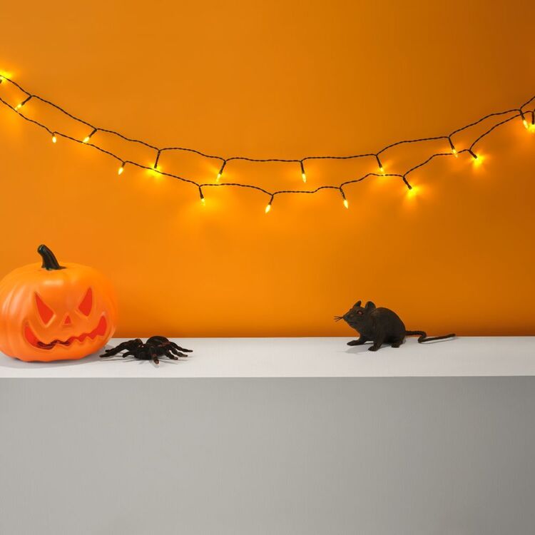 Orange Halloween String Lights for Ceilings Bushes and Roof Gutters