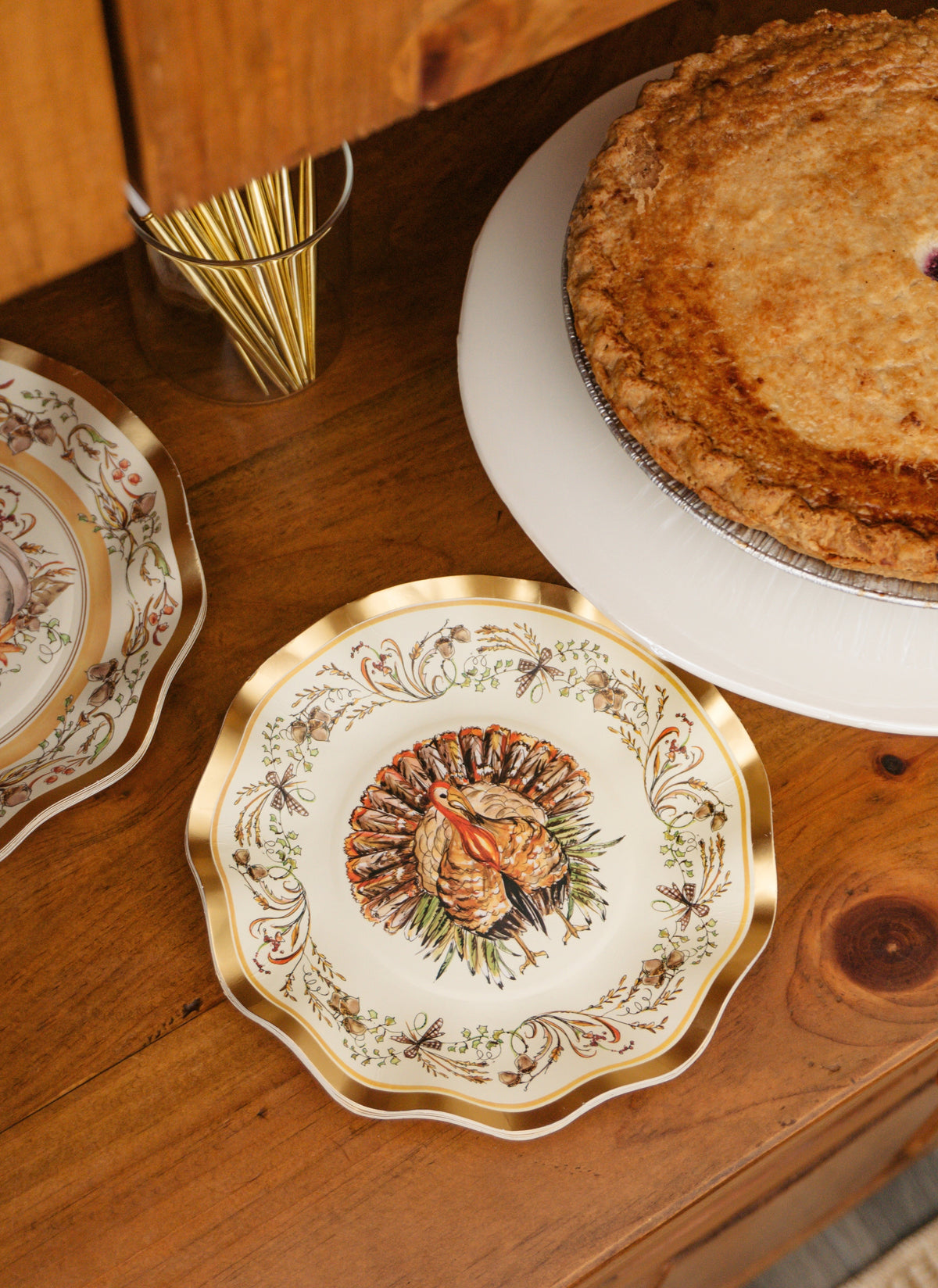 Disposable Paper Plates with Turkey and Pumpkin Design for Thanksgiving Dining