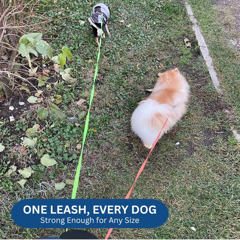 10FT Dual Retractable Dog Leash with Built-In Flashlight & Waste Bag Holder