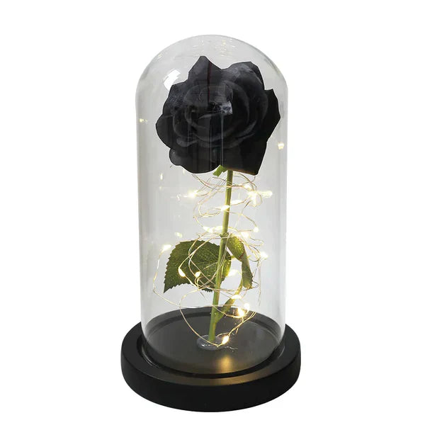 Preserved Rose with LED Dome Display and Battery Power