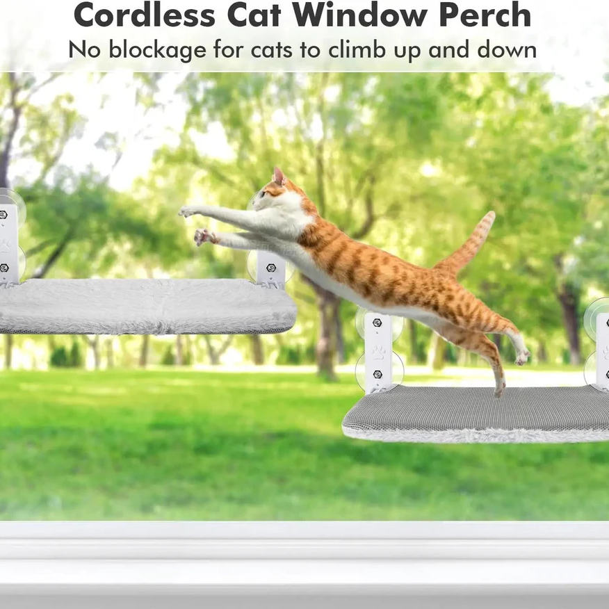 Cat Hammock Window