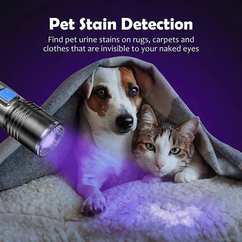 Black Light Flashlight