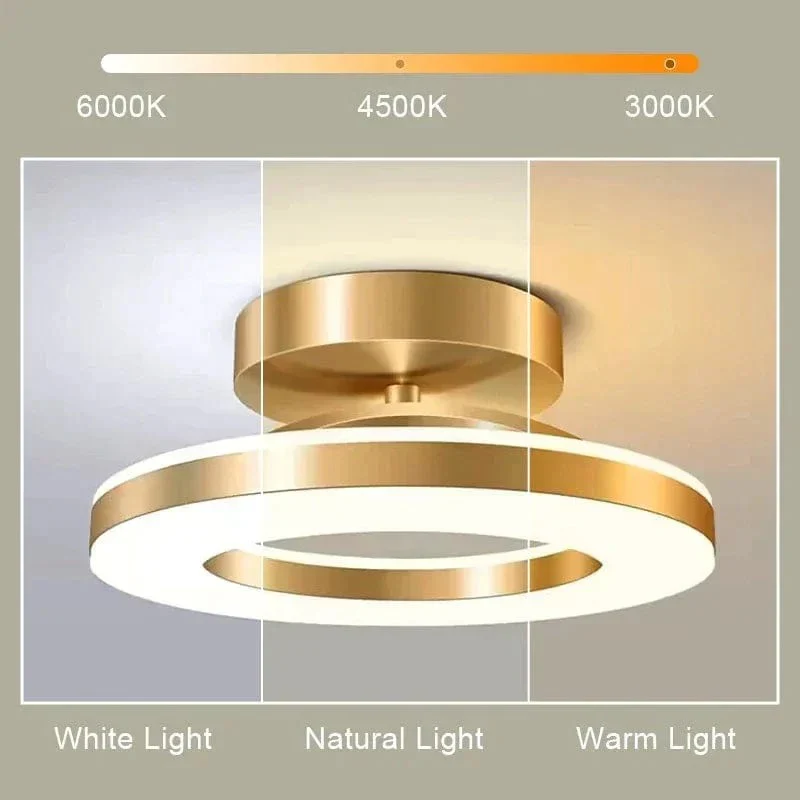 LED Ceiling Light Fixture