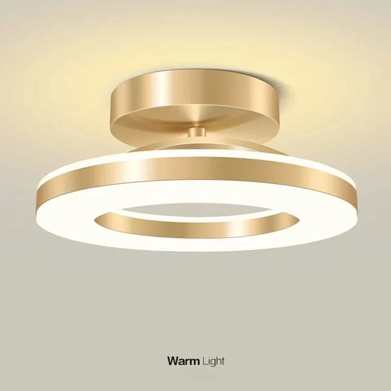 LED Ceiling Light Fixture