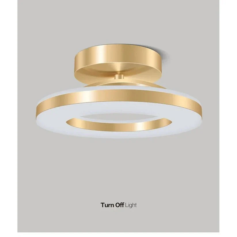 LED Ceiling Light Fixture