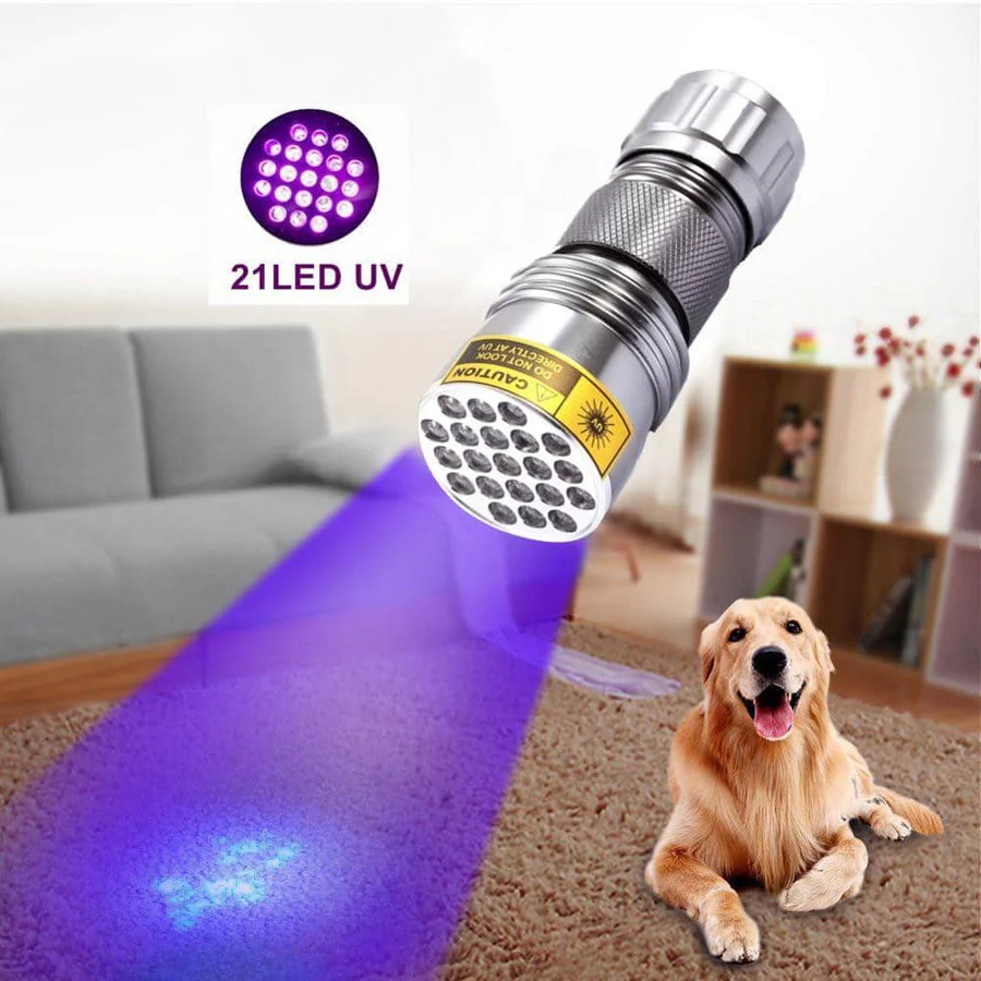 Compact UV Blacklight Flashlight for Inspection and Cleaning Checks