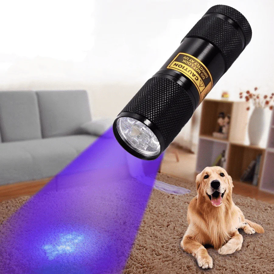 Compact UV Blacklight Flashlight for Inspection and Cleaning Checks