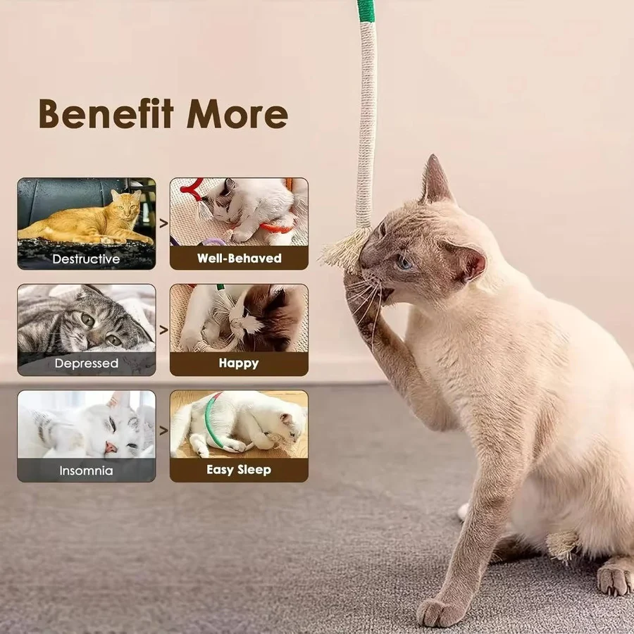 Cat Chew Toys for Healthy Play