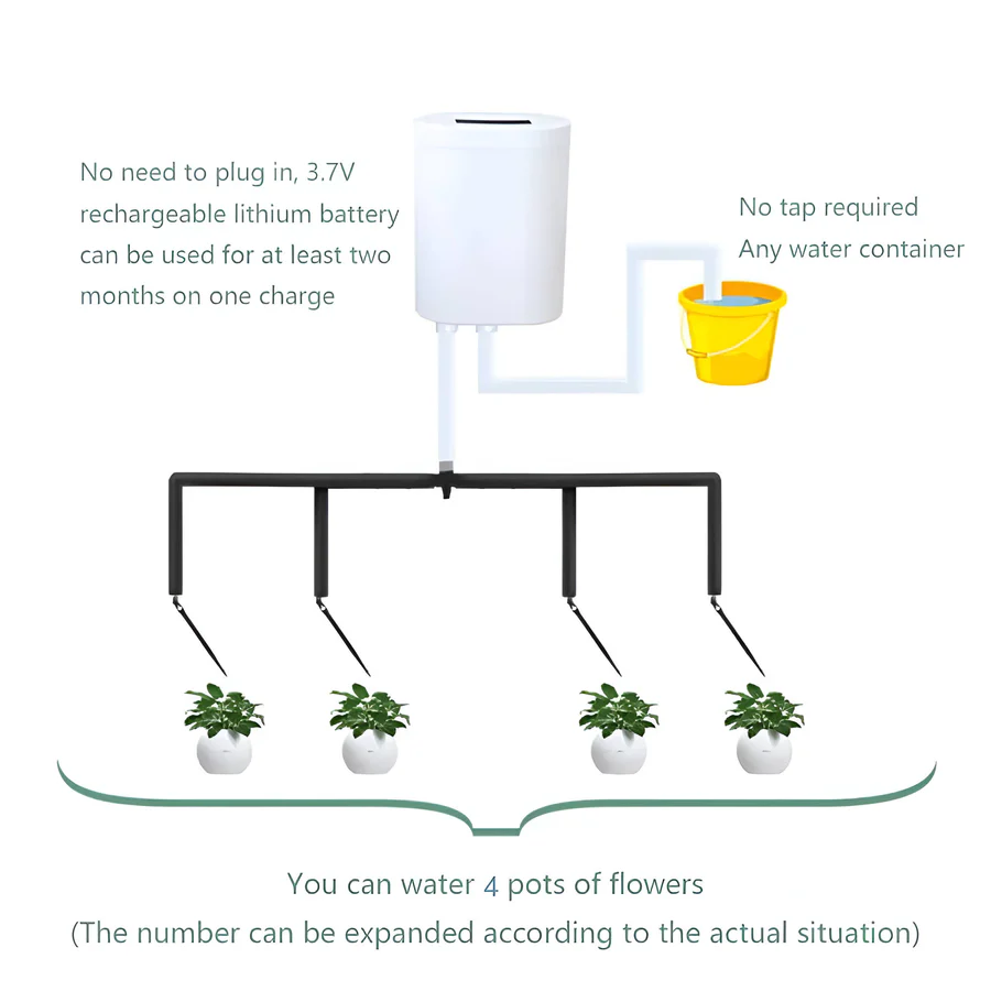 Automatic Watering Pump Controller