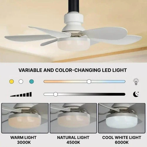 Ceiling Mounted Fan