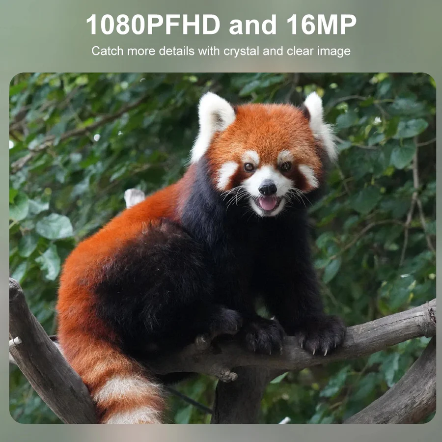 Compact Wildlife Camera with HD Infrared Night Vision