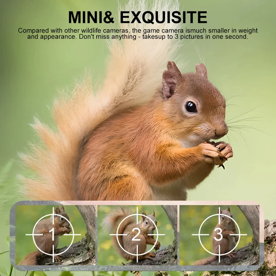Compact Wildlife Camera with HD Infrared Night Vision
