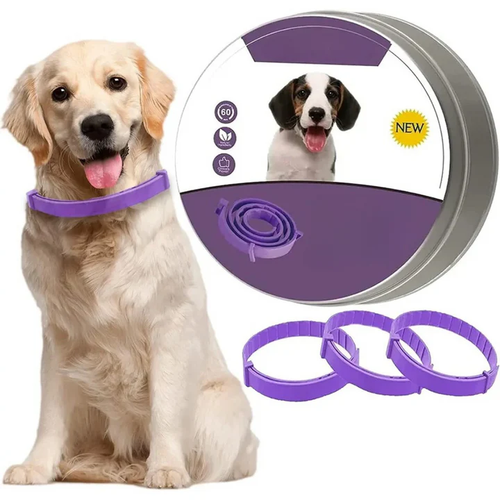 Feline Pheromone Collar Effectiveness photo
