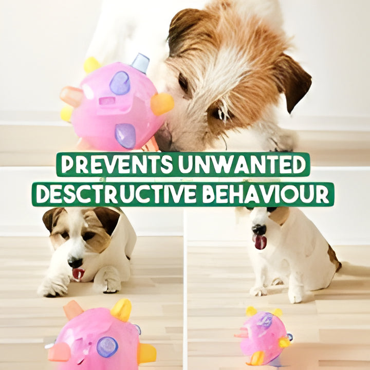 New Jumping Activation Ball For Dogs