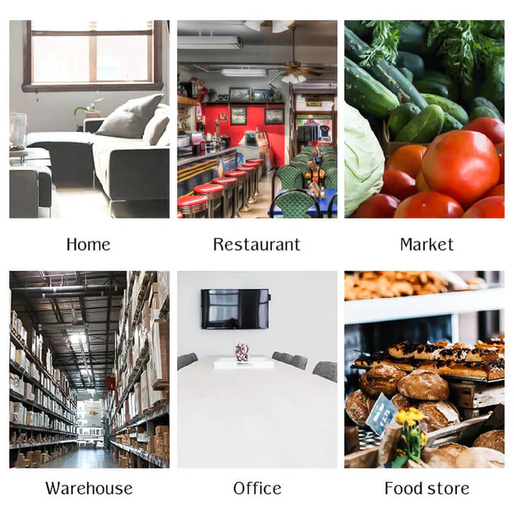 Self-Activating Mouse Trap