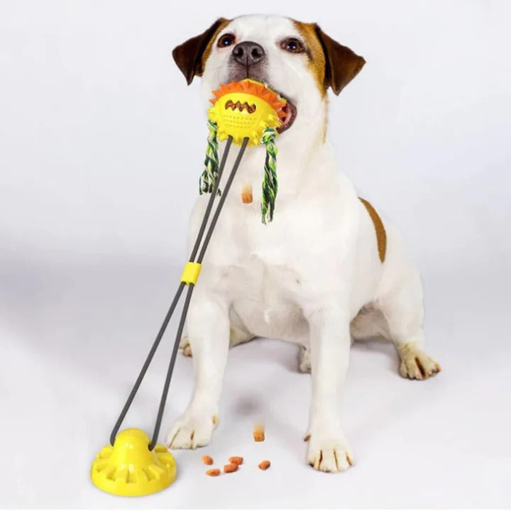 Interactive Self-Playing Pet Toy