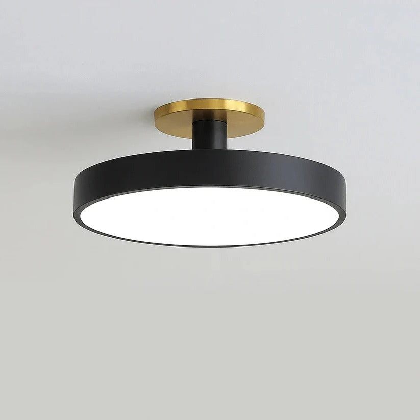 Modern LED Ceiling Light with Flush Mount Design for Interior Spaces