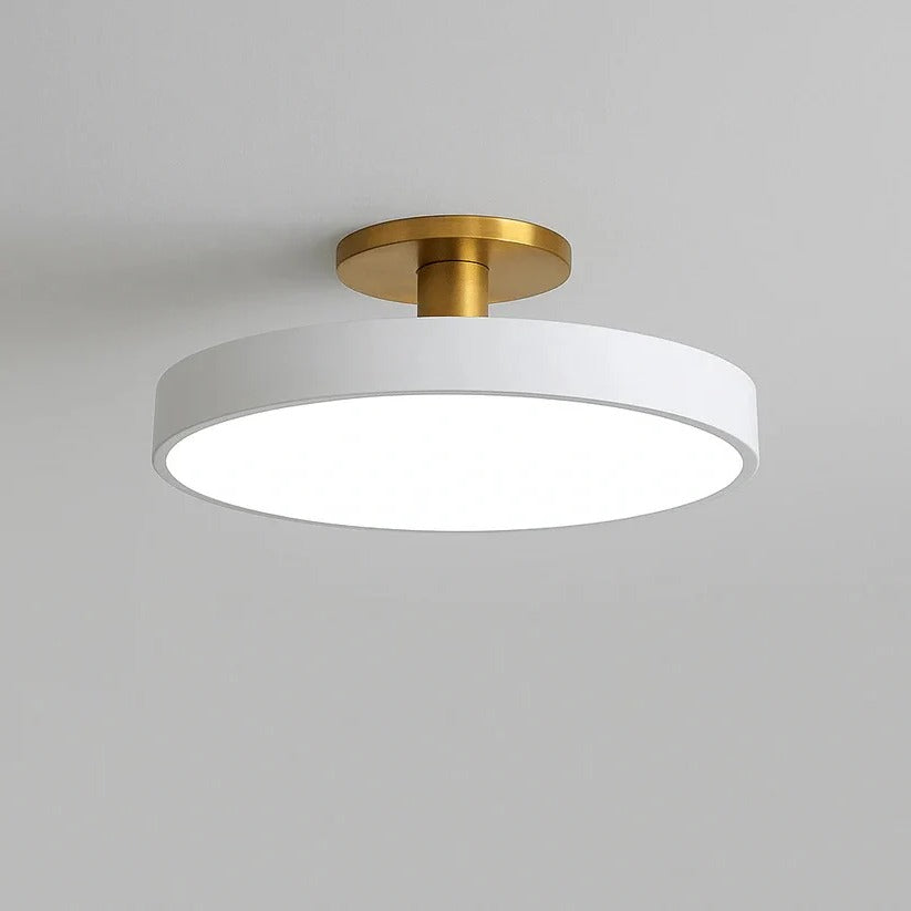 Modern LED Ceiling Light with Flush Mount Design for Interior Spaces