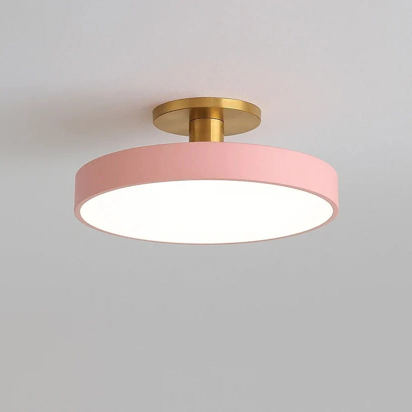 Modern LED Ceiling Light with Flush Mount Design for Interior Spaces