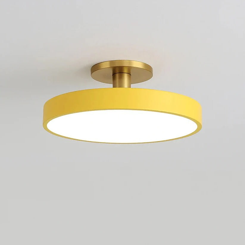 Modern LED Ceiling Light with Flush Mount Design for Interior Spaces