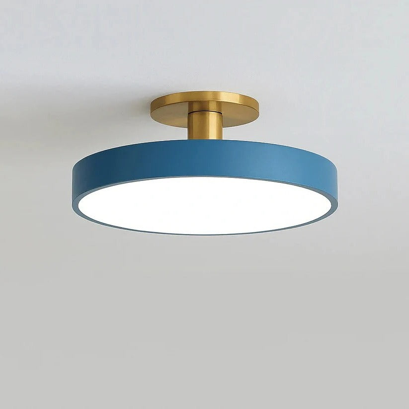 Modern LED Ceiling Light with Flush Mount Design for Interior Spaces