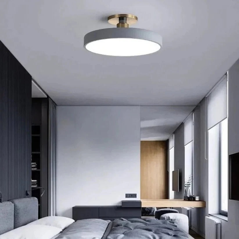 Modern LED Ceiling Light with Flush Mount Design for Interior Spaces