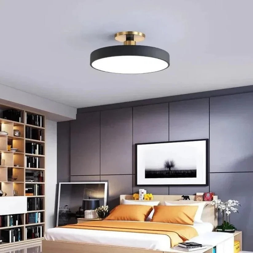 Modern LED Ceiling Light with Flush Mount Design for Interior Spaces