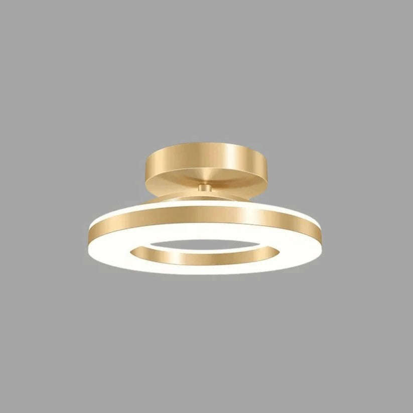LED Ceiling Light Fixture
