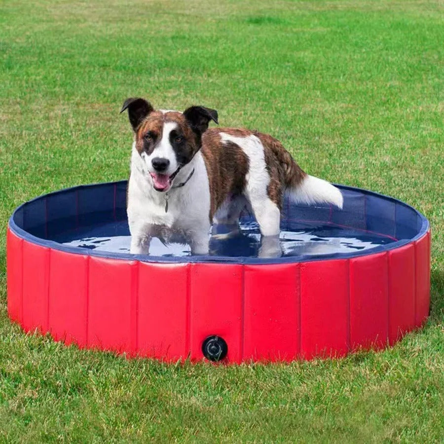 Foldable Dog Pool
