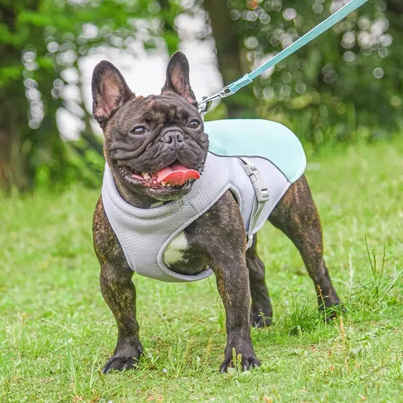 Dog Cooling Vest for Outdoor Activities