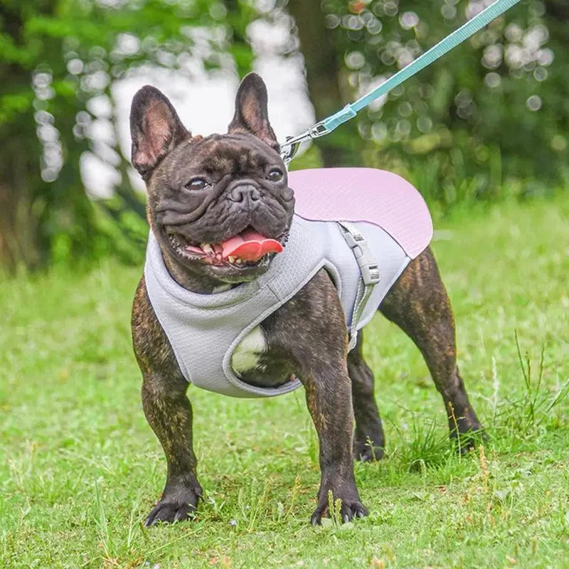Dog Cooling Vest for Outdoor Activities
