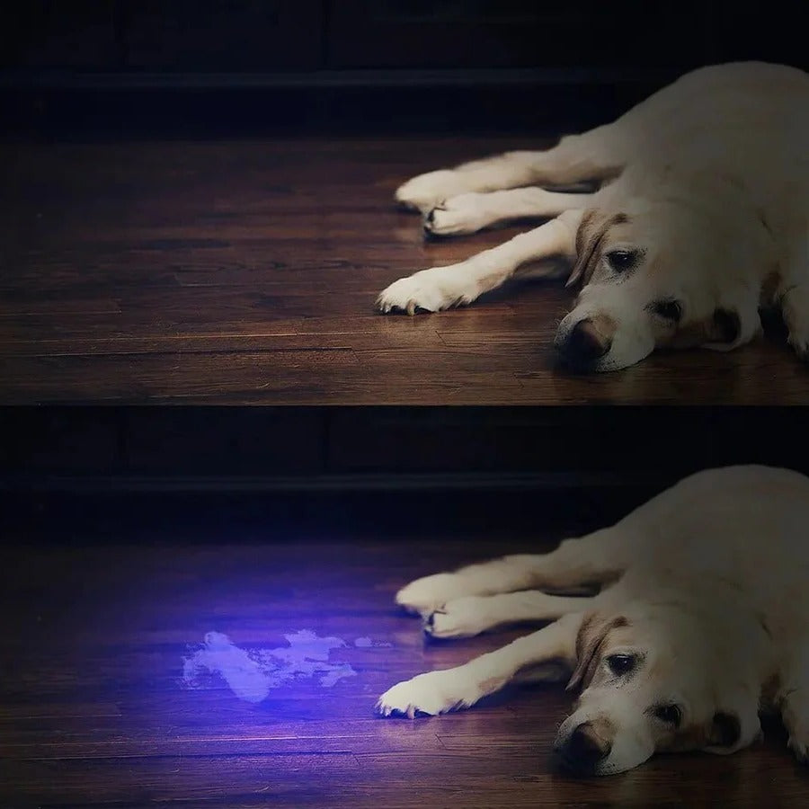 Compact UV Blacklight Flashlight for Inspection and Cleaning Checks
