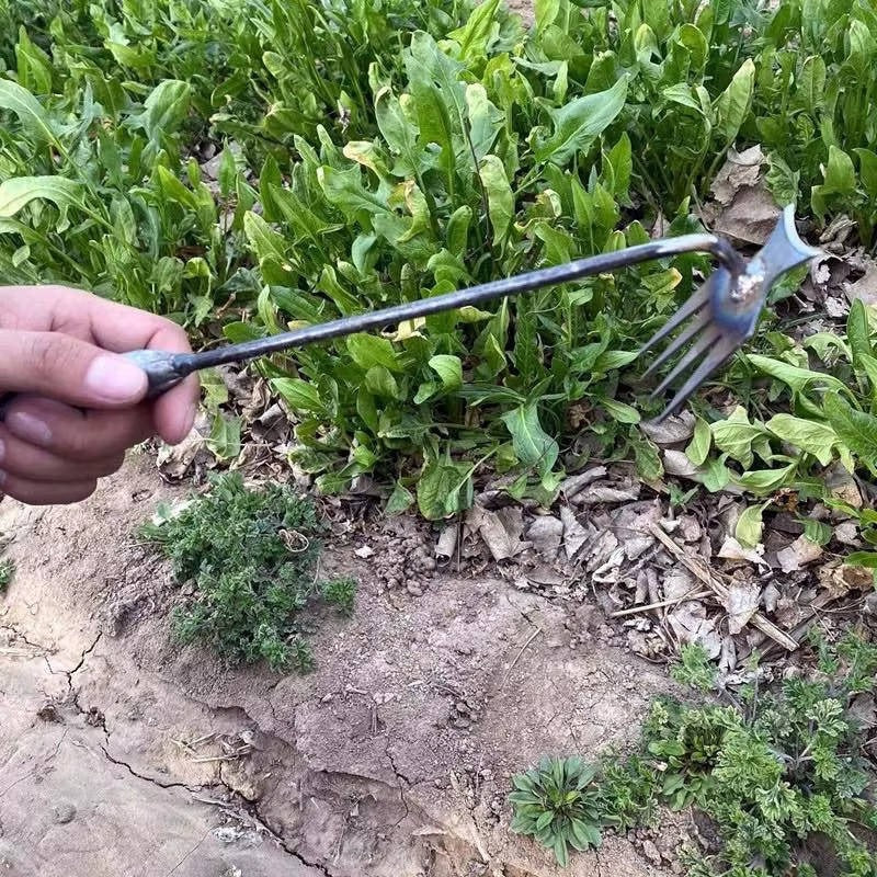 Weed Tool Remover