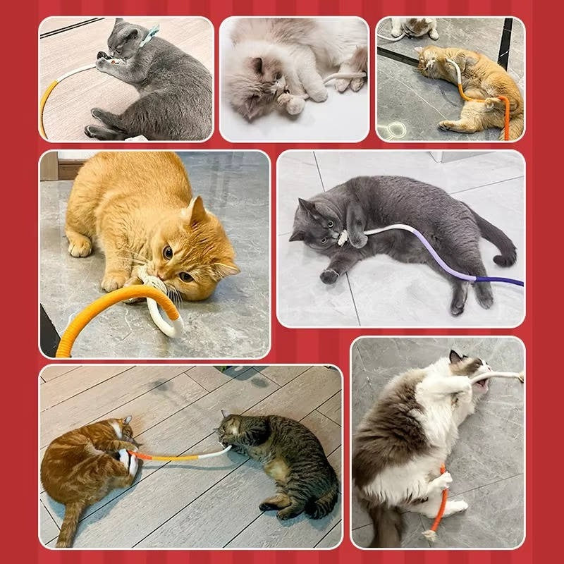 Cat Chew Toys for Healthy Play