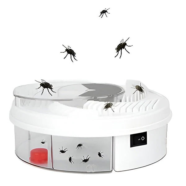 Highly Effective Fly Trap