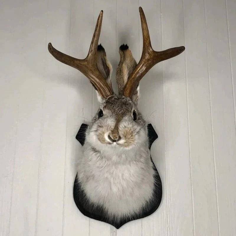 Jackalope Wall Decor