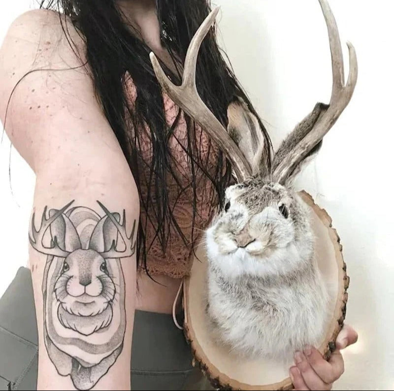 Jackalope Wall Decor