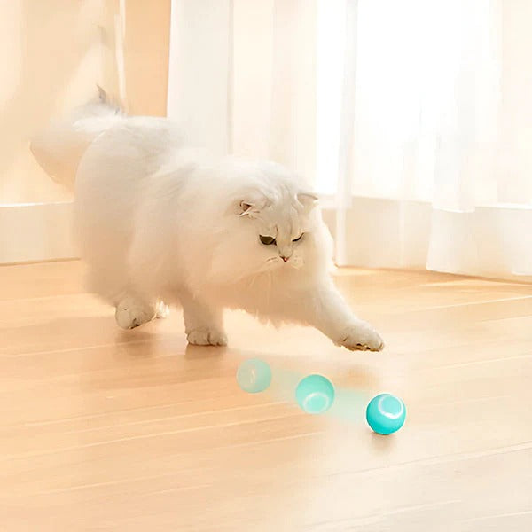 Interactive Pet Ball, Rolls Automatically