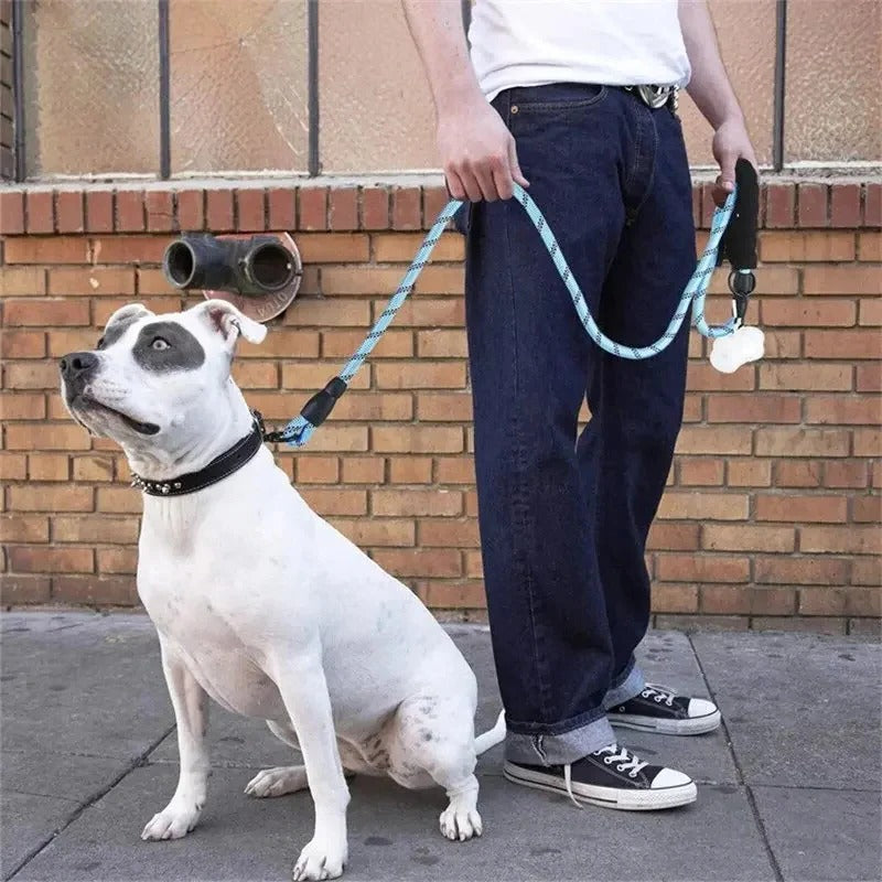 Reflective Dog Leash with Comfortable Padded Handle