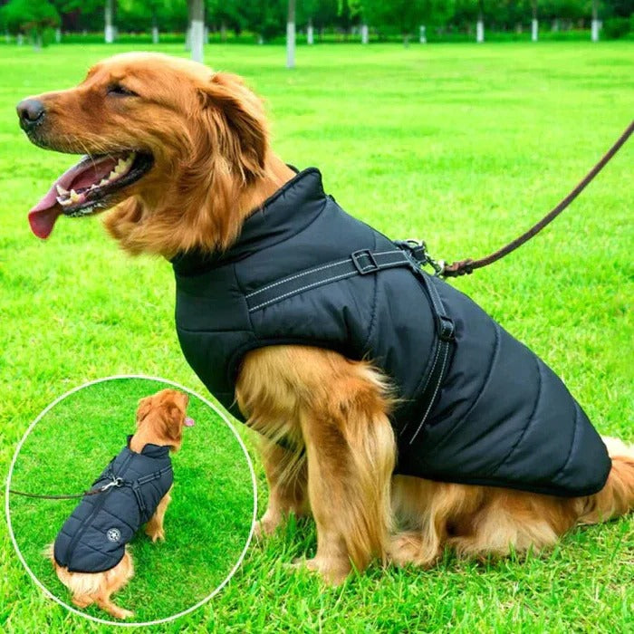 Windproof Sherpa Lined Dog Jacket With Easy Entry Harness