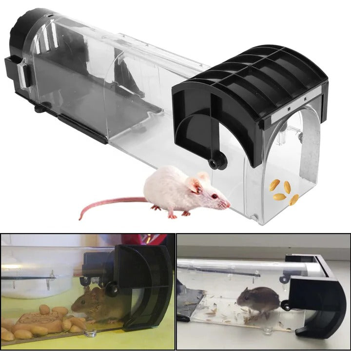 Reusable Rodent Trap with Locking Mechanism