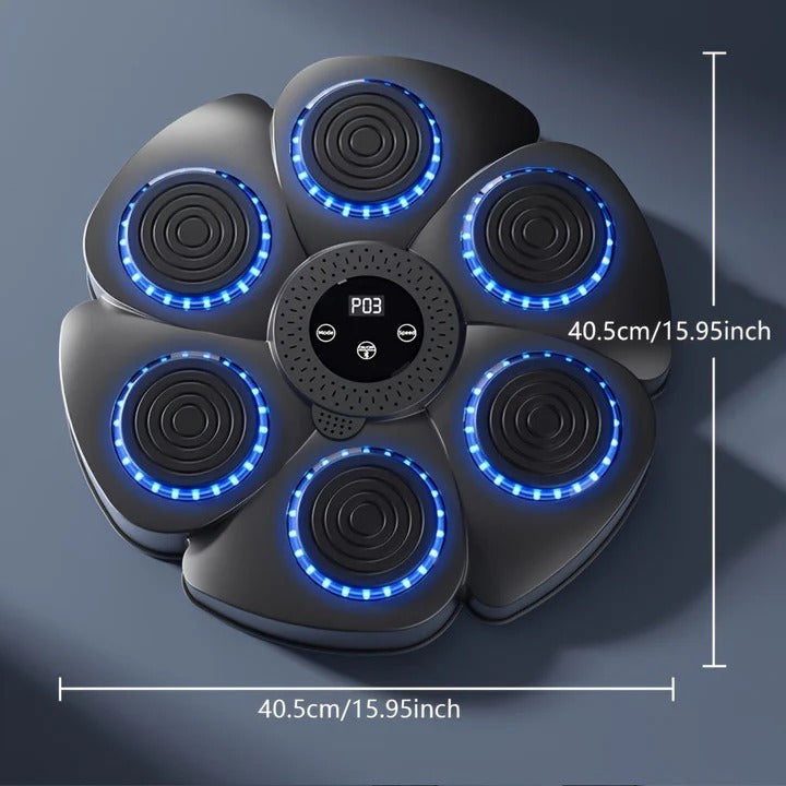 Boxing Machine Wall Target with Music and USB Rechargeable