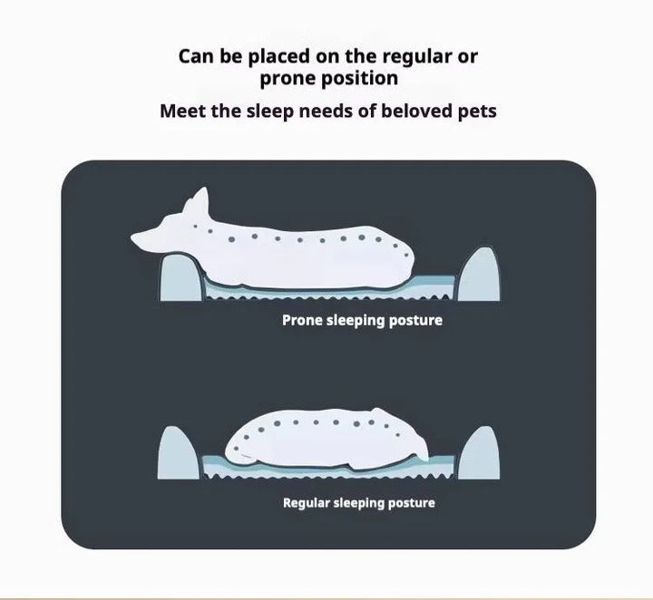 Orthopedic Anti Slip Car Dog Bed Back Seat with Ergonomic Pressure Relief