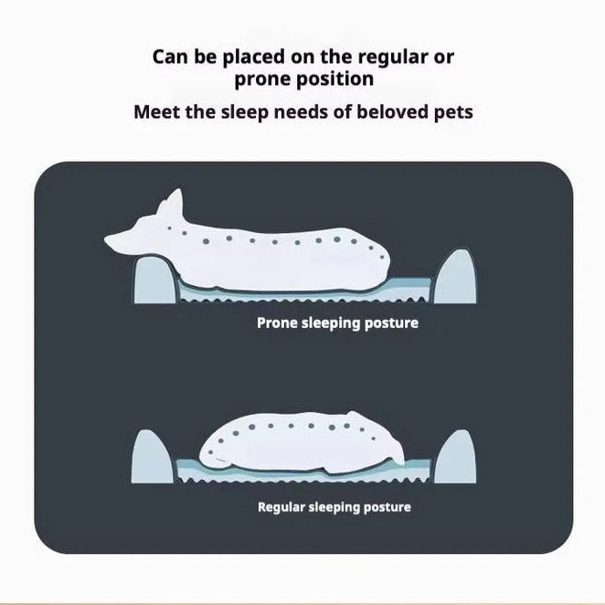 Orthopedic Anti Slip Car Dog Bed Back Seat with Ergonomic Pressure Relief