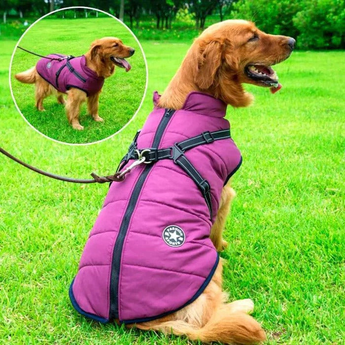 Waterproof Winter Dog Jacket