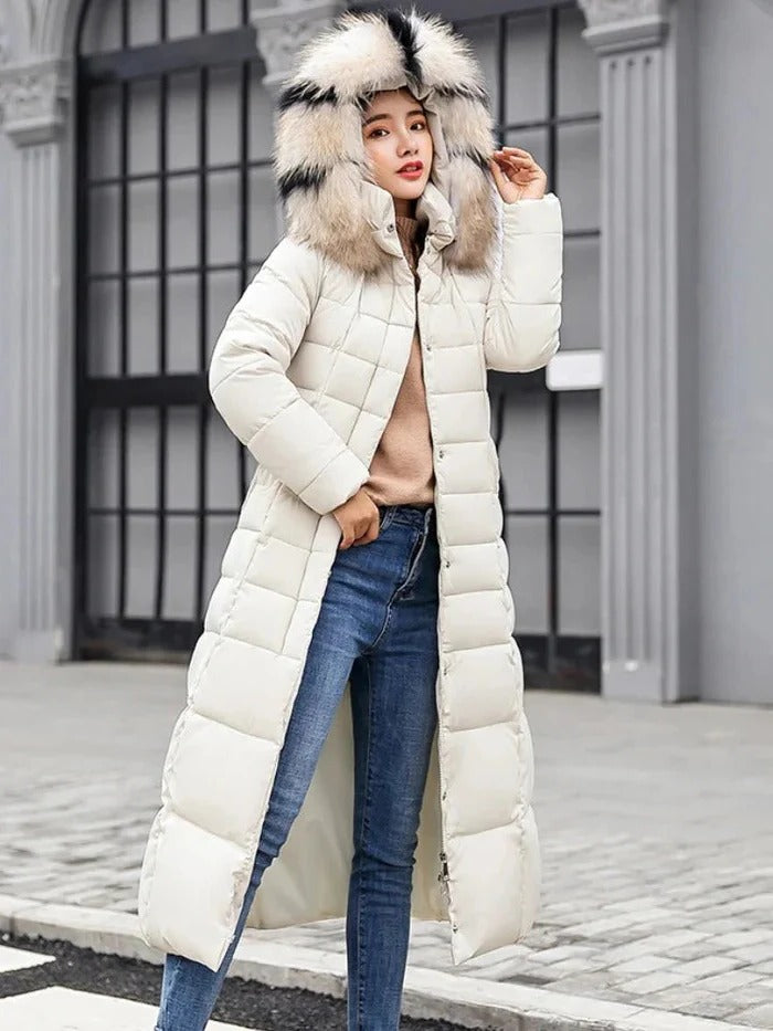 Womens Long Sleeve Cold Weather Jacket with Regular Fit in Six Colors for Fall and Winter