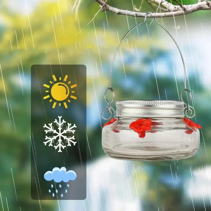 Clear Flower Port Hummingbird Feeder