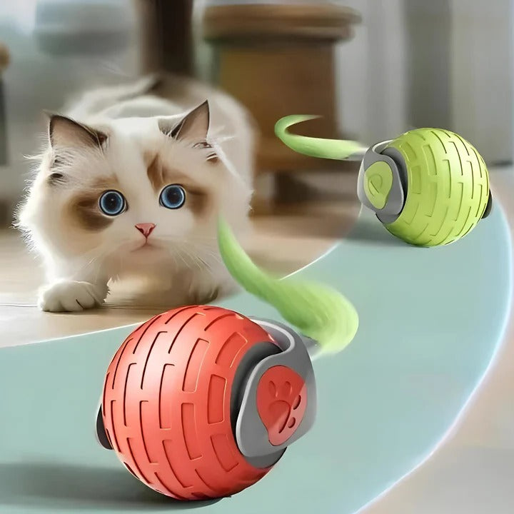 Moving Cat Toy