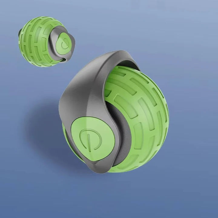 Moving Cat Toy
