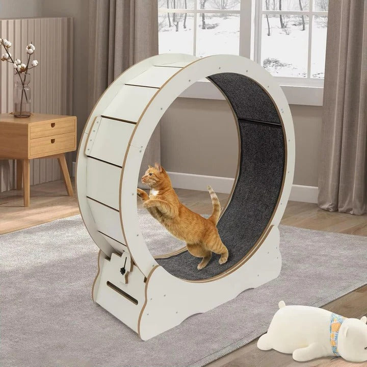 Cat Exercise Wheel